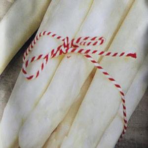 Asperges