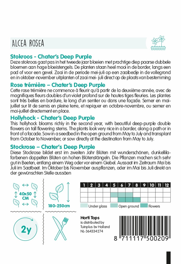 Althaea, Stokroos CHATER'S DEEP PURPLE - ca 0,25 g