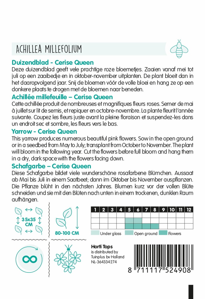 Achillea, Duizendblad Cerise Queen - ca 0,08g