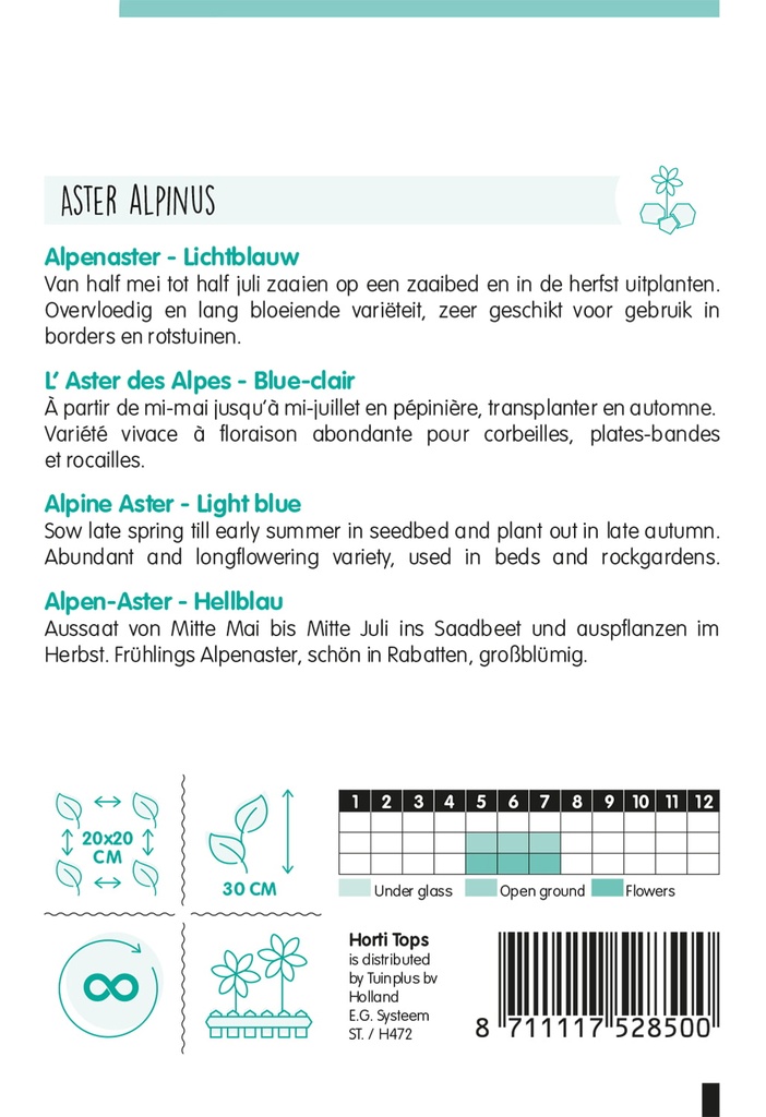 Aster, Alpenaster lichtblauw - ca 0,25g