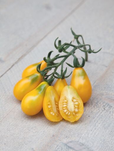 Tomaten Yellow Pearshaped - ca 0,5g