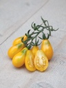 Tomaten Yellow Pearshaped - ca 0,5g