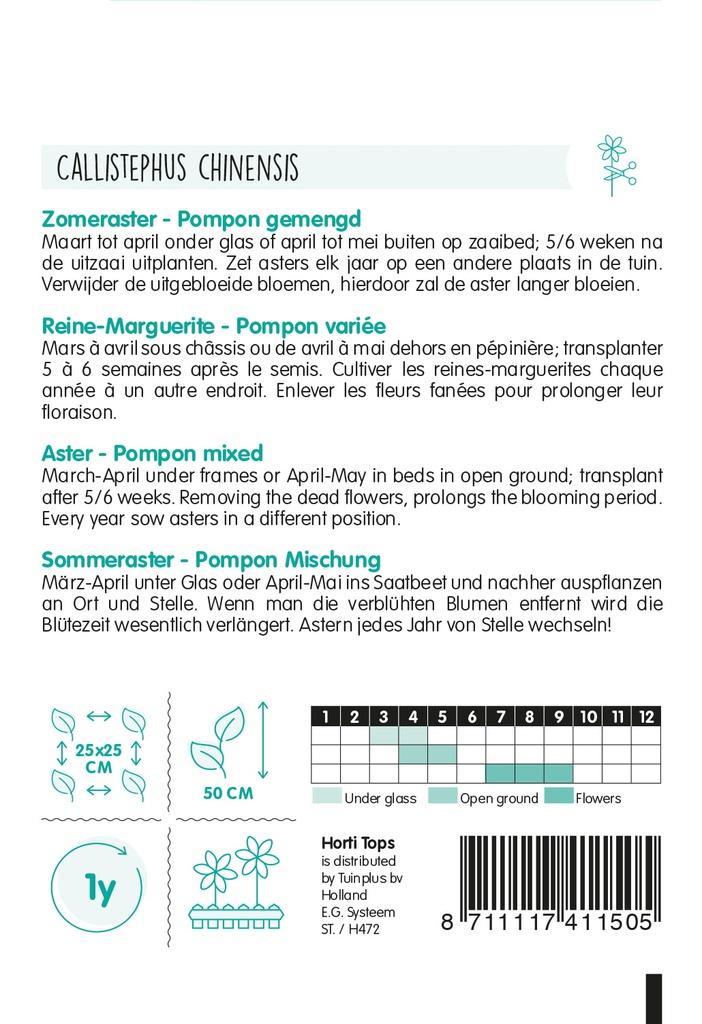 Reine-Marguérite Lilliput ou Pompon varié - ca 0,5g