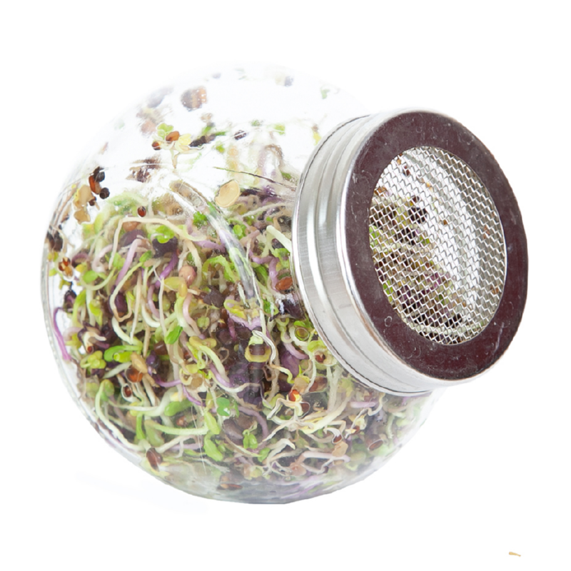 Organic Sprouting pot Pikante Salade BIO