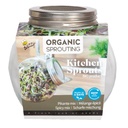 Organic Sprouting pot Pikante Salade BIO