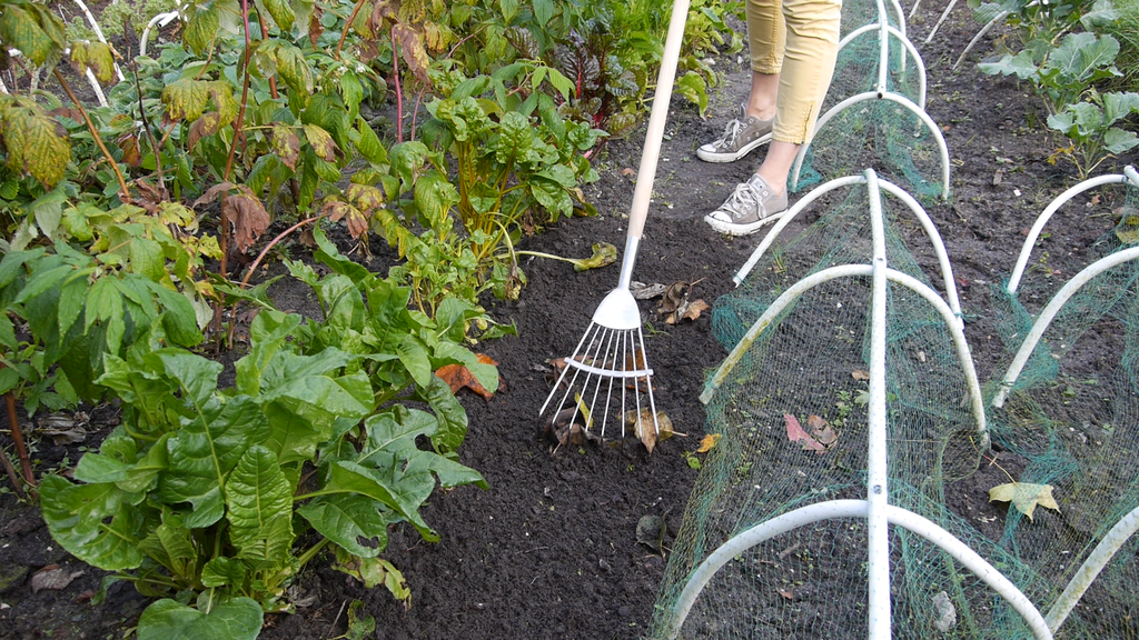 Burgon & Ball - Culti-Rake