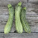 courgette-costates-romanesco-ab.webp