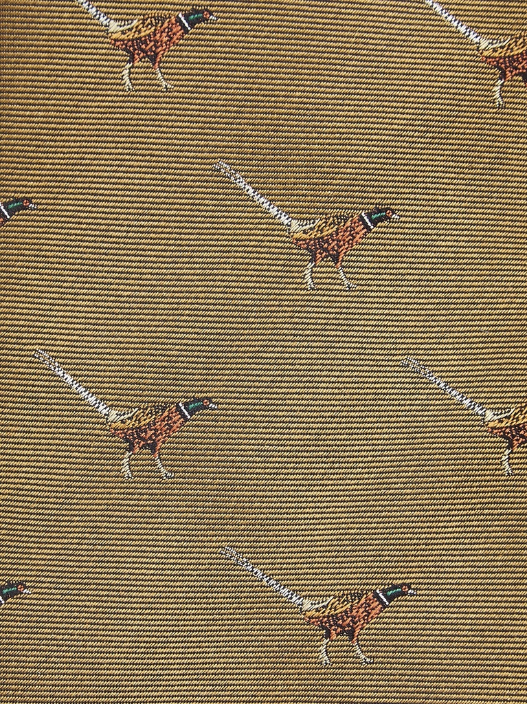 Dubarry - Madden Mens Silk Tie - Gold