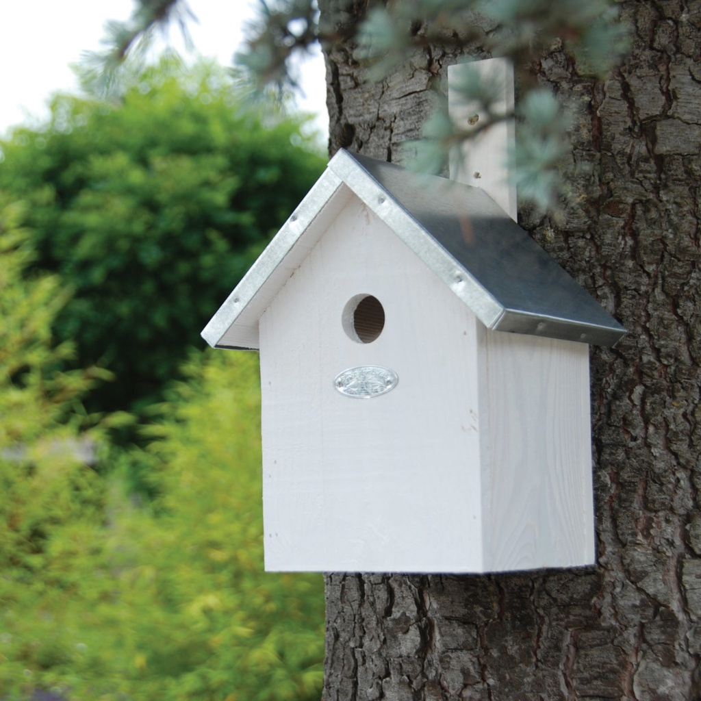 Nestkast pimpelmees wit