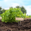 Stempel jouw eigen plantenlabels