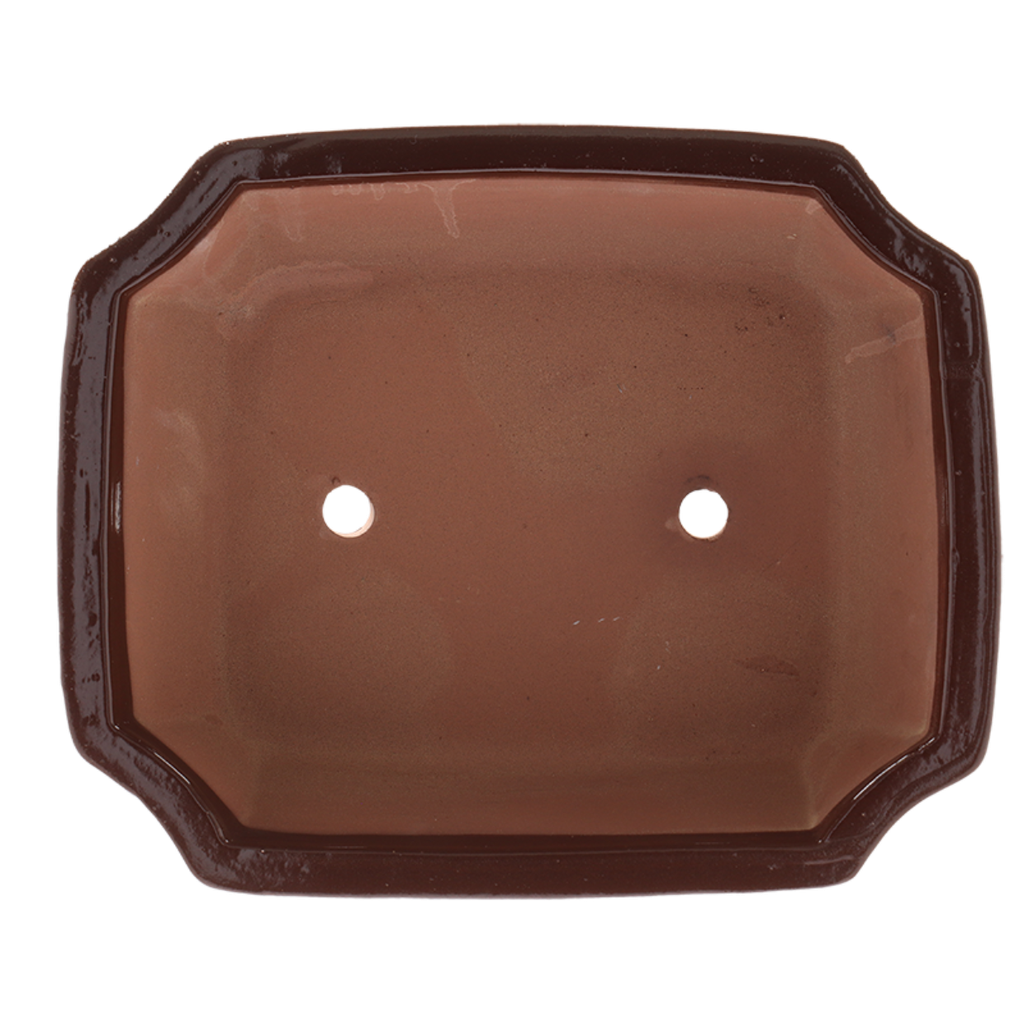 Bonsai pot rechthoekig L