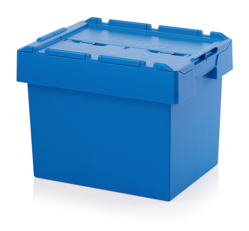 Witloofcontainer - voor 60 wortels