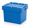 Witloofcontainer - voor 60 wortels
