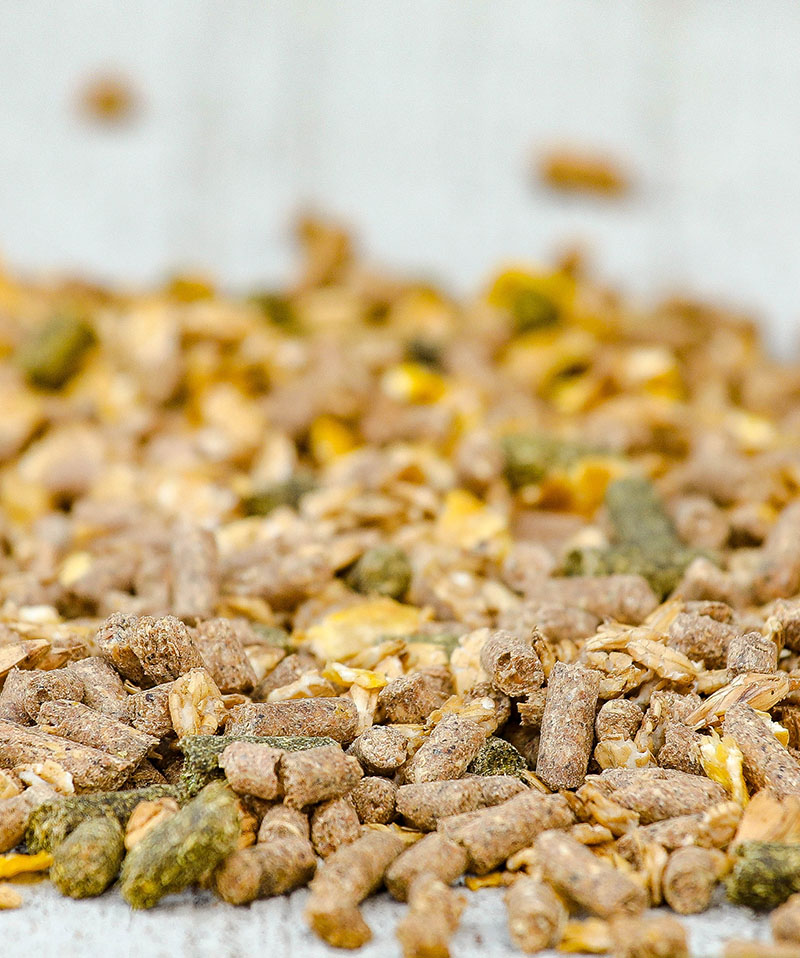 CAVALOR - HARMONY TRADITION MIX - 20 kg