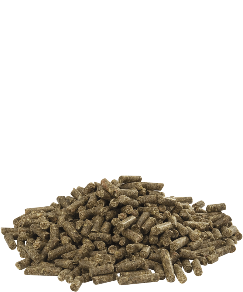 CUNI FIT PURE - 20 KG