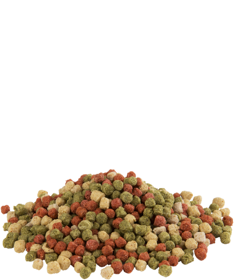FISHLIX ALLROUND 10 KG