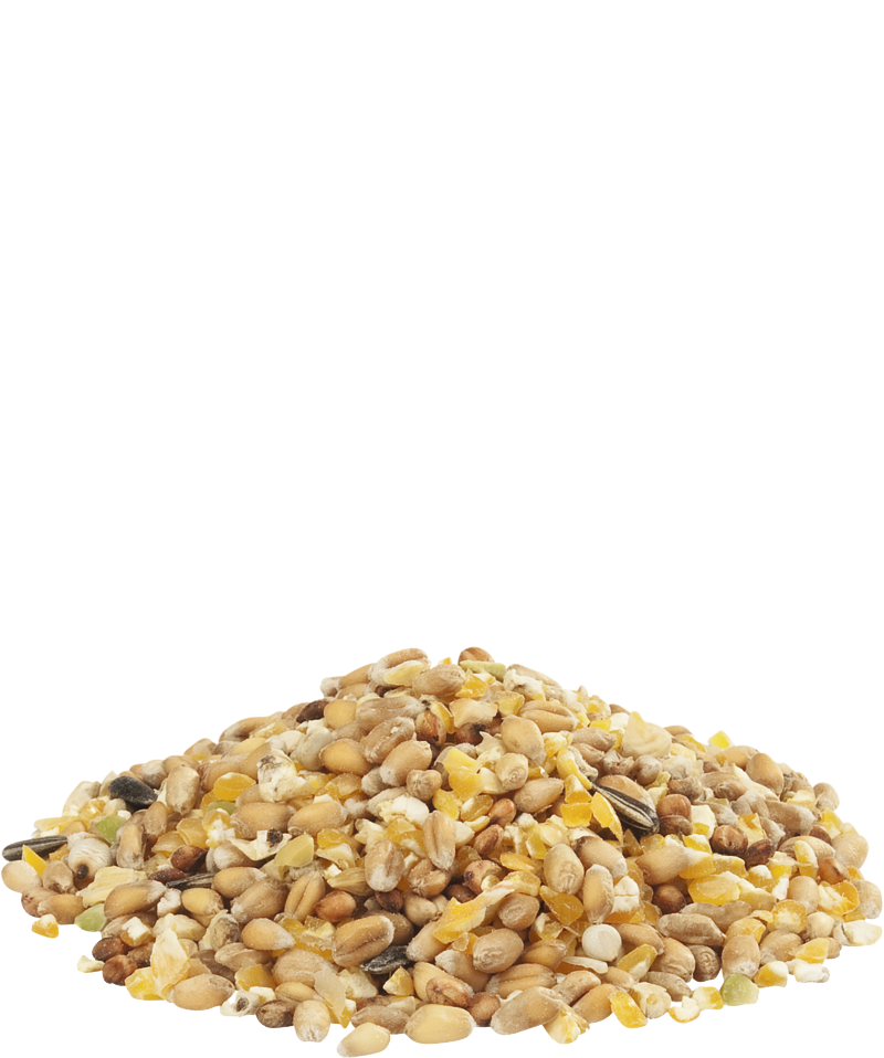 GRA_MIX ARDEENS GRAAN 4KG