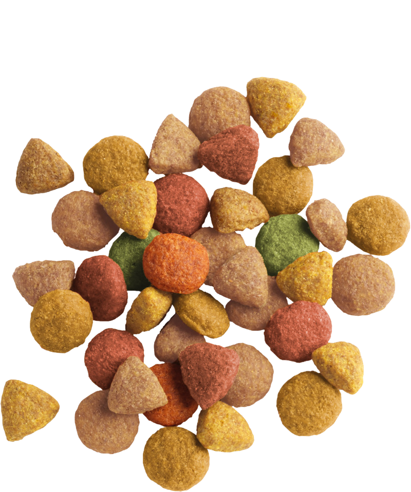LARA ADULT TURKEY & CHICKEN 2KG