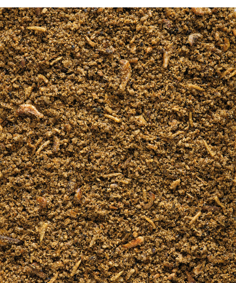 ORLUX INSECT PATEE 1 KG