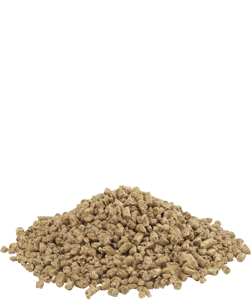 VERSELE GOLD 1&2 CRUMBLE - 5 kg