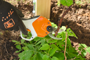 STIHL ASA 20 Snoeischaar met AL 1 lader en AS 2 accu