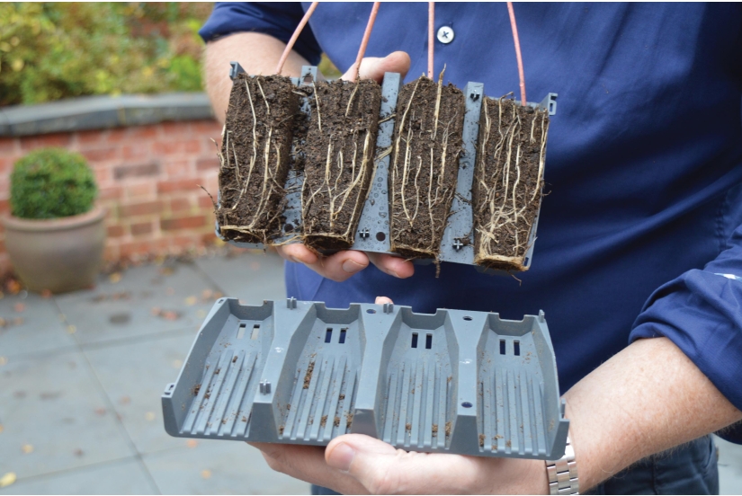28 Cell Deep Root Succes Kit