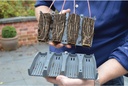 28 Cell Deep Root Succes Kit