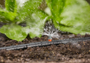 Gardena Startset Voor Bloembedden En Moestuinen