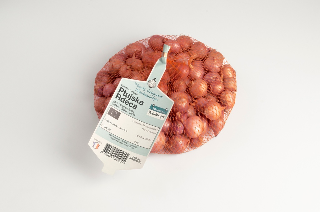 Plantajuin PTUJSKA RDECA