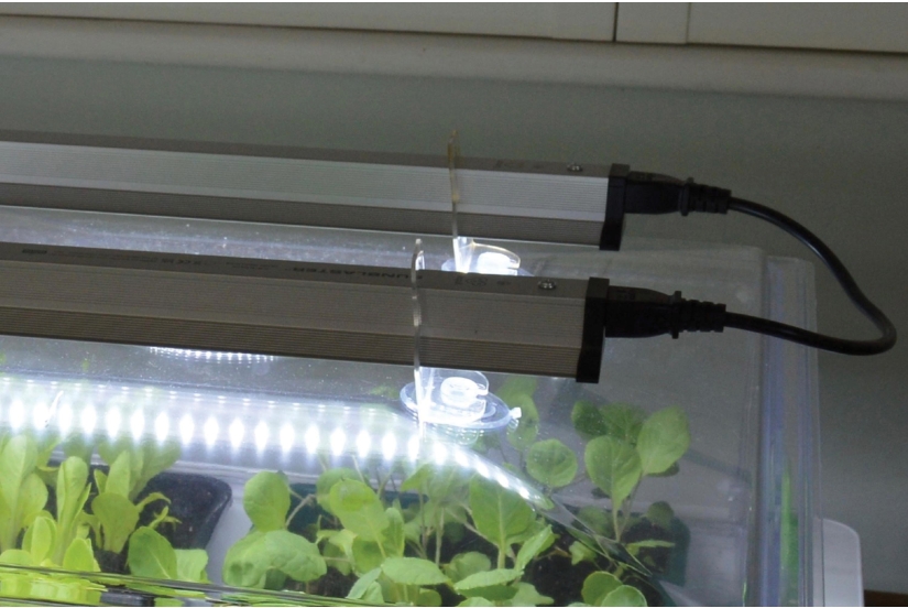 LEDVERLICHTINGSKIT VOOR PROPAGATOR 2 x 60 cm