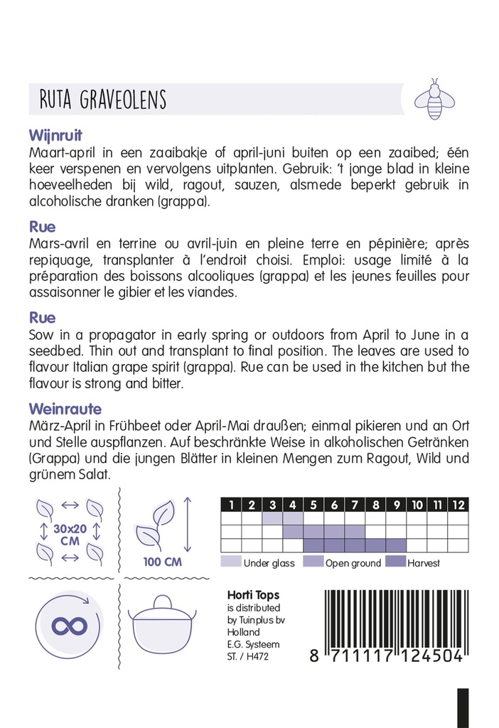 WIJNRUIT - ca 0,5 g