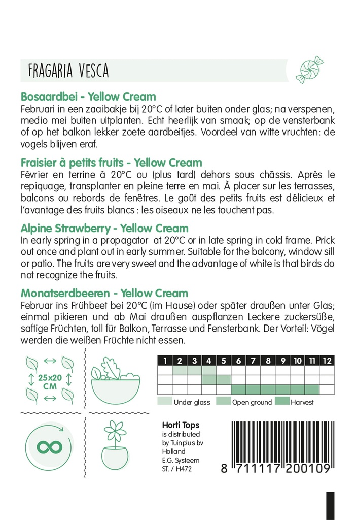 Bosaardbeien YELLOW CREAM - ca 0,25 g