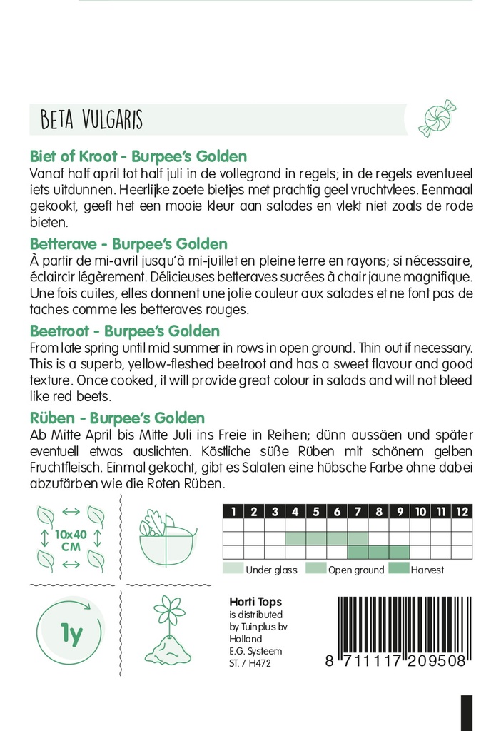 Bieten of kroten BURPEE'S GOLDEN - ca. 2 g
