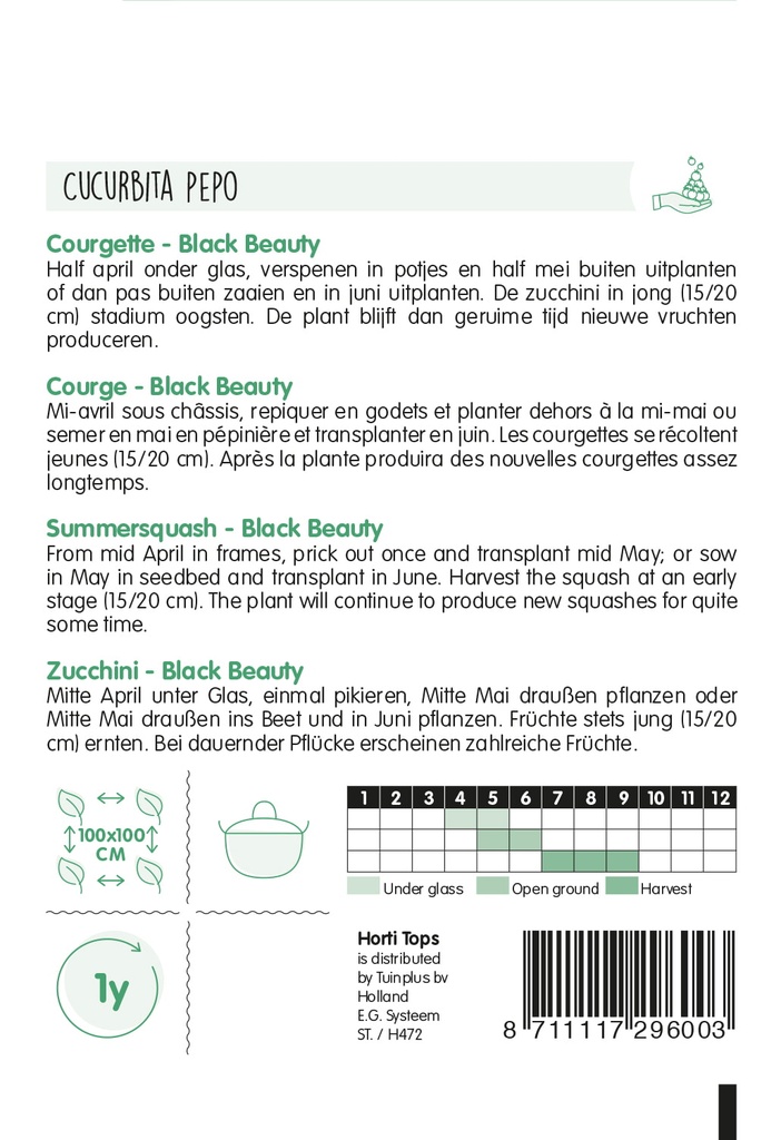 HT Courgette BLACK BEAUTY - ca 5 g
