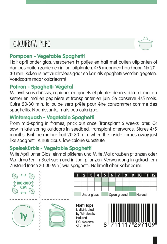 Courgette SPAGHETTI - ca 2 g