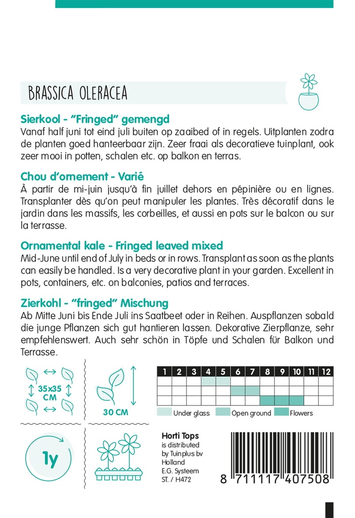Sierkool BRASSICA gemengd - ca 0,25 g