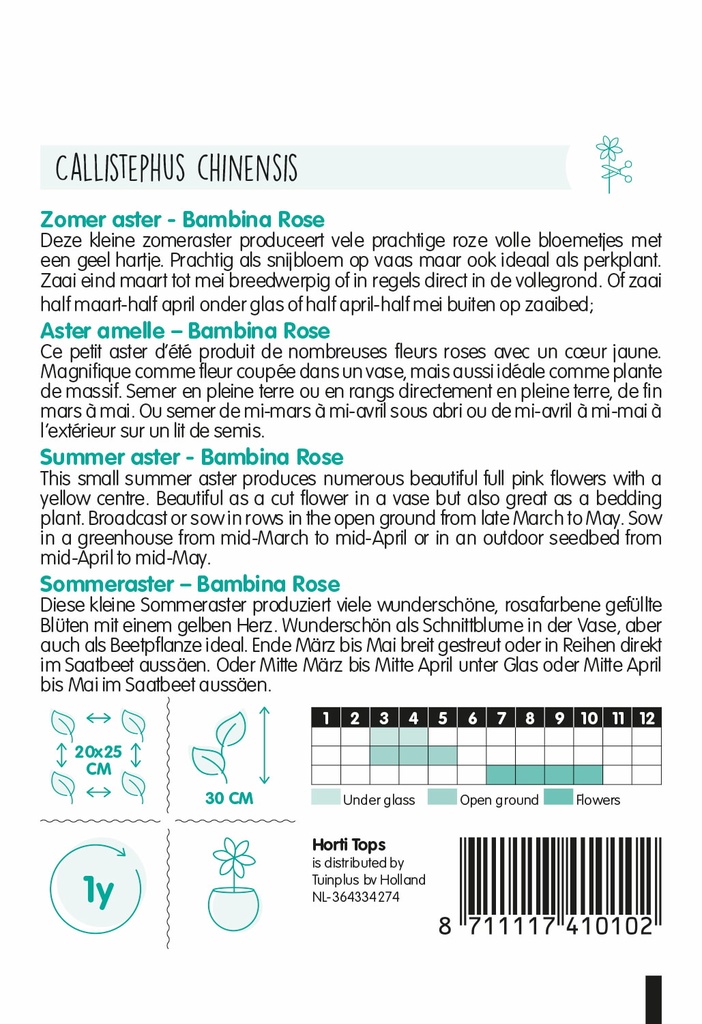 Zomeraster Bambina Rose - ca 20 z