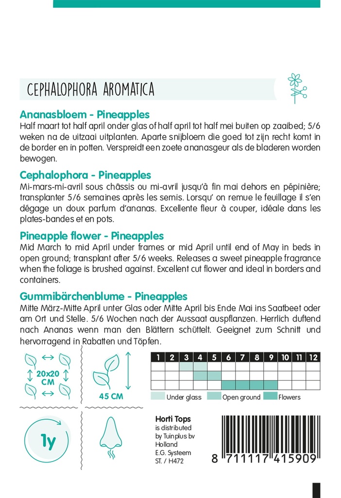 Cephalophora aromatica PINEAPPLES - ca 0,10 g