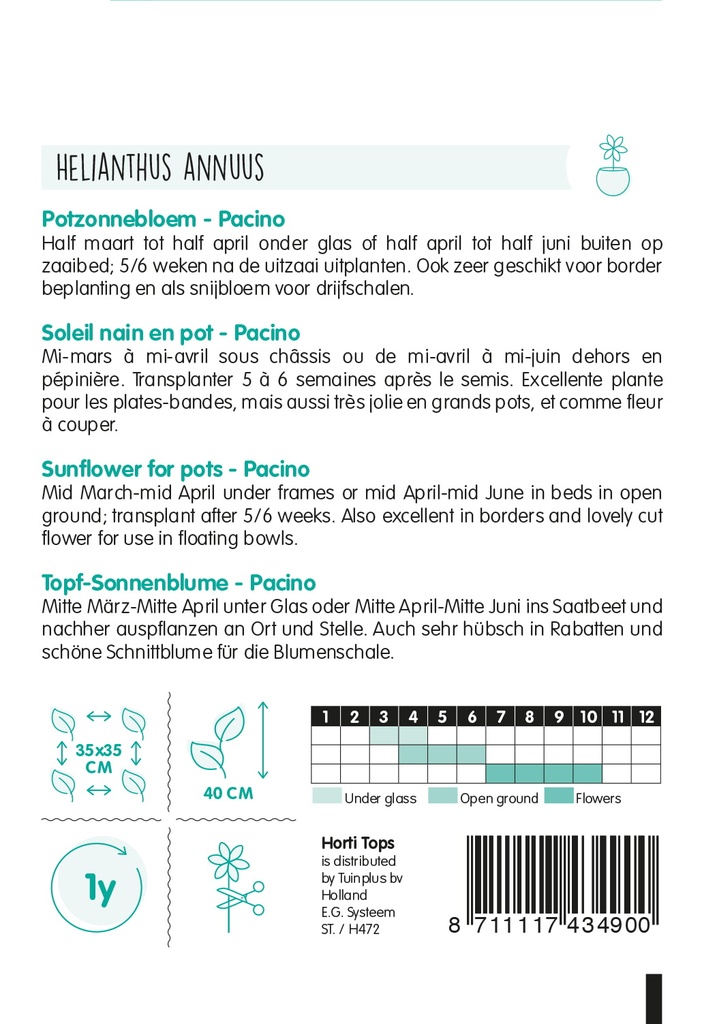 Helianthus PACINO - ca 0,75 g