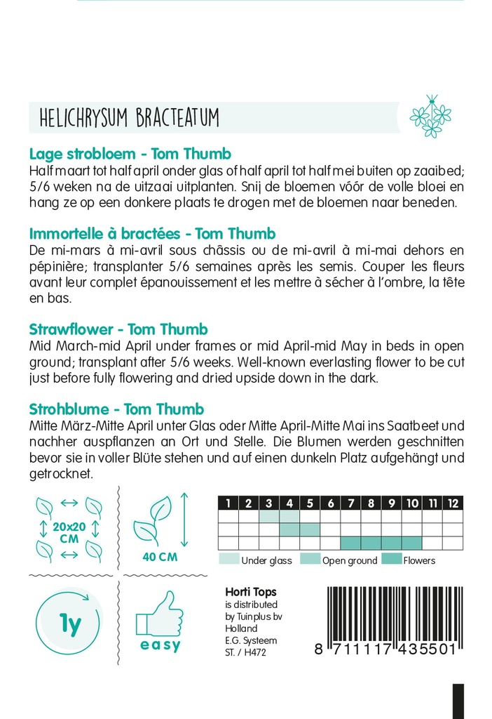 Helichrysum BRACTEATUM - ca 0,75 g