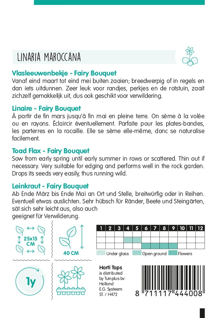 Linaria MAROCCANA - ca 0,5 g