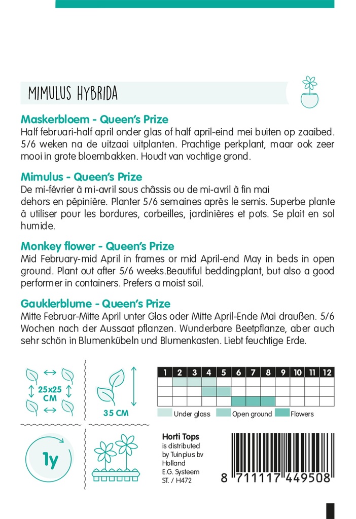 Mimulus tigrinus QUEEN'S PRIZE - ca 15 z