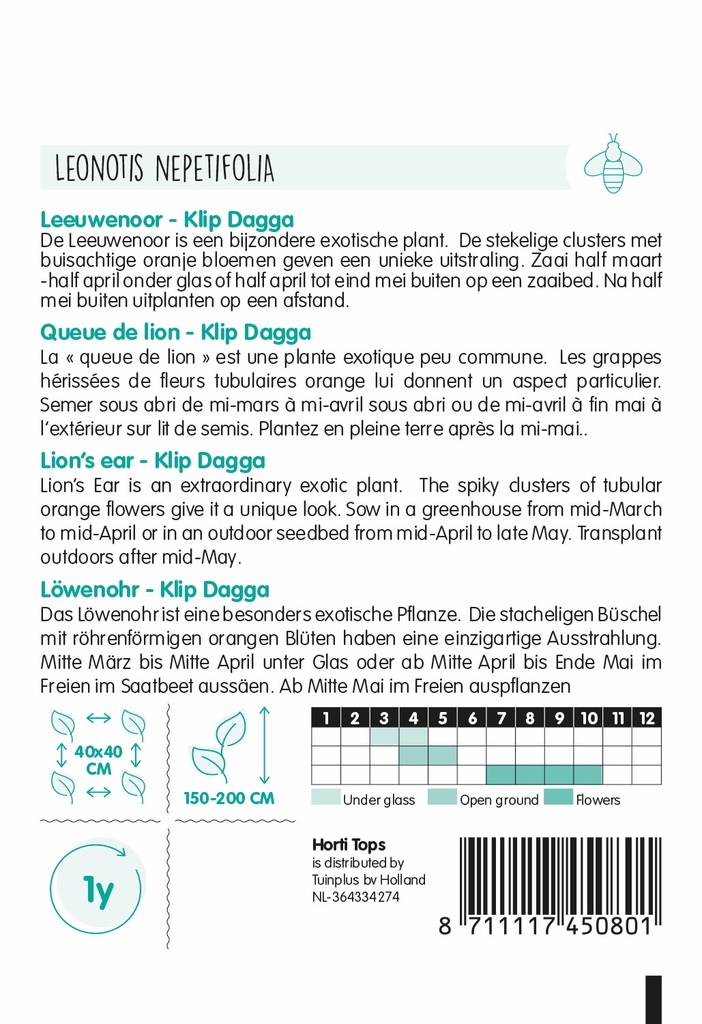 Leonotis LEEUWENOOR KLIP DAGGA - ca 20 z