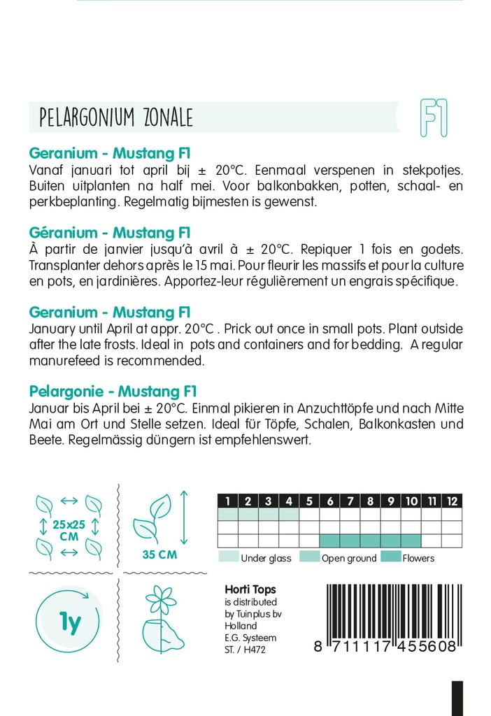 Pelargonium zonale MUSTANG F1 - ca 10 z