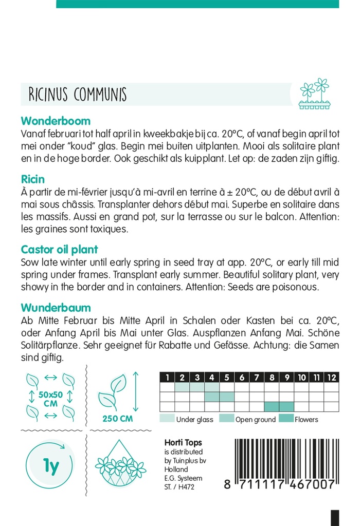 Ricinus ZANZIBARENSIS - ca 5 g