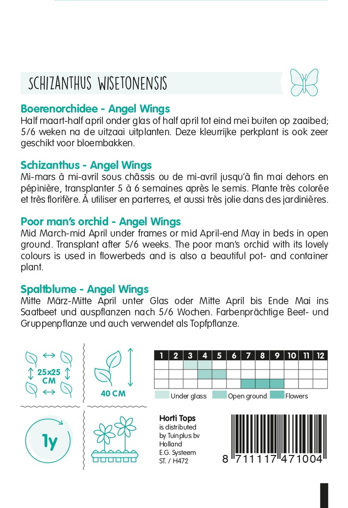 Schizanthus - Boerenochidee Angel Wings - ca. 0.5 gr