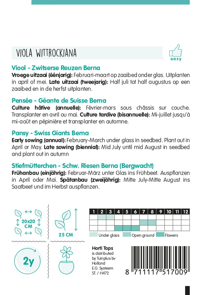 Viola of Viool ZWITSERSE REUZEN BERNA - 0,4 g