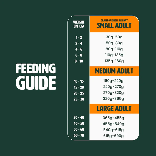 GUTSY Chicken en Insect 6 kg Adult Small hondenvoeding 