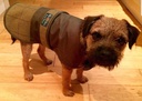 ALAN PAINE Tweed Dog Coat