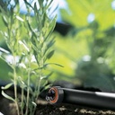 GARDENA Micro-Drip Einddruppelaar, drukcompenserend